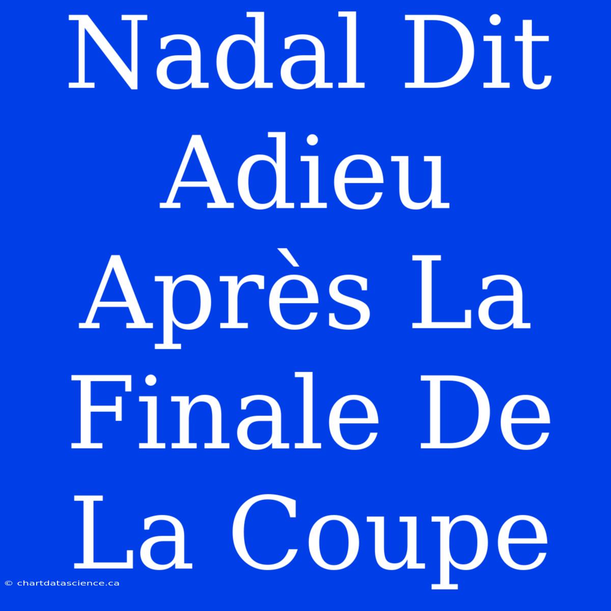 Nadal Dit Adieu Après La Finale De La Coupe