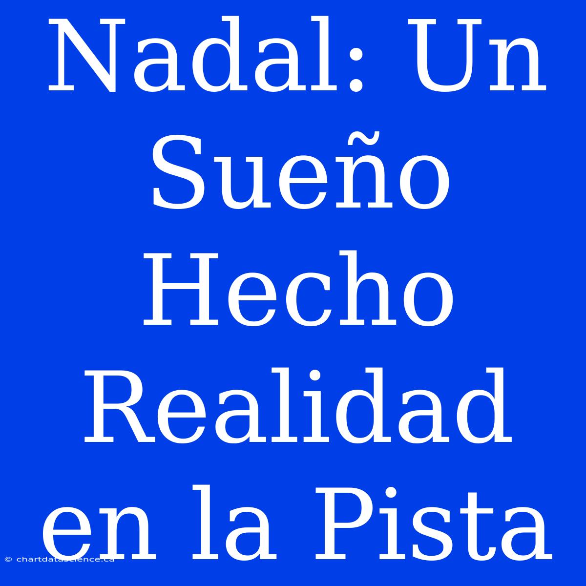 Nadal: Un Sueño Hecho Realidad En La Pista