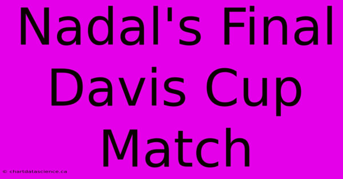 Nadal's Final Davis Cup Match