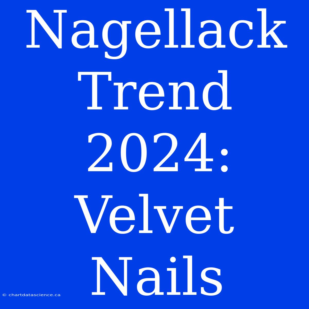 Nagellack Trend 2024: Velvet Nails