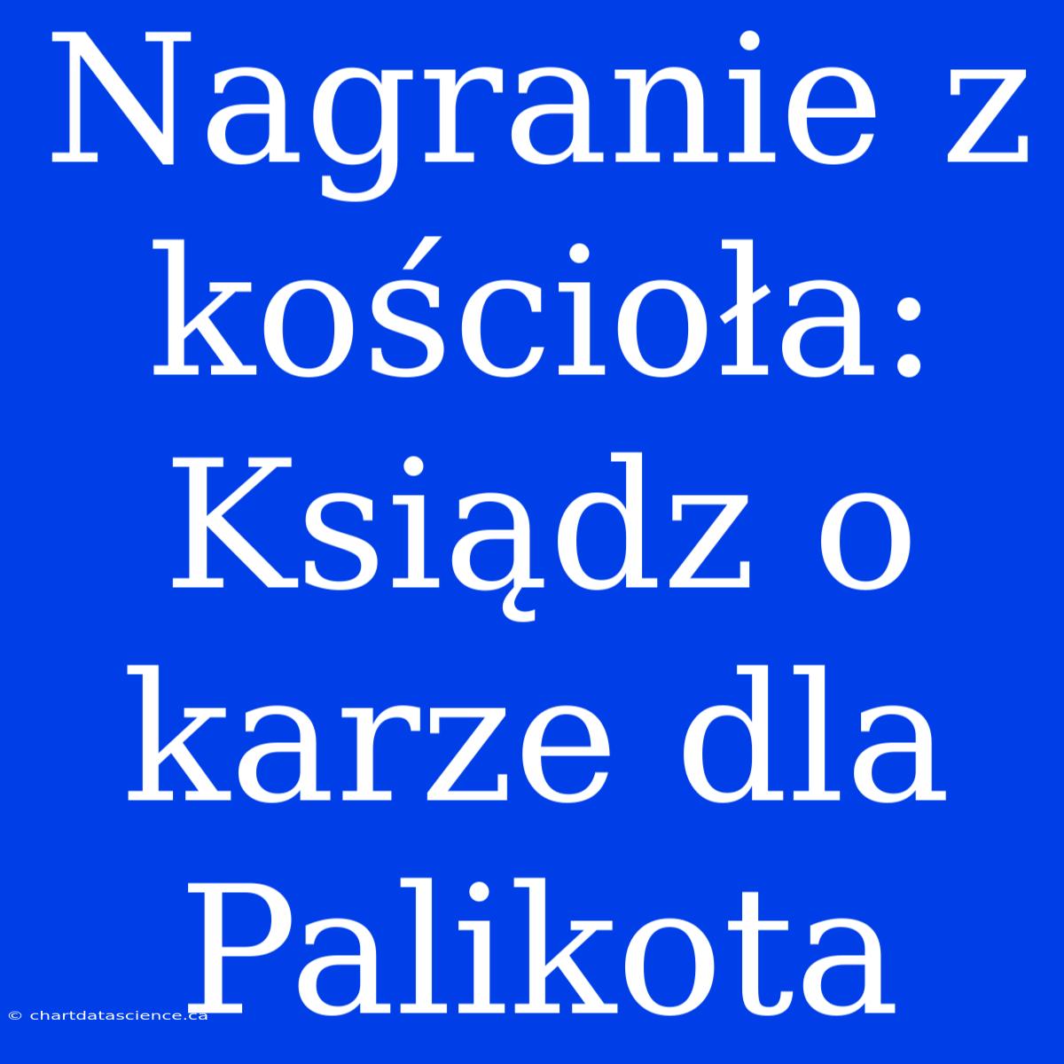 Nagranie Z Kościoła: Ksiądz O Karze Dla Palikota