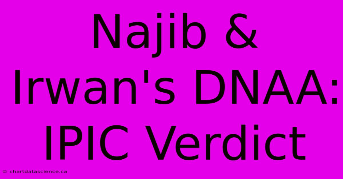 Najib & Irwan's DNAA: IPIC Verdict