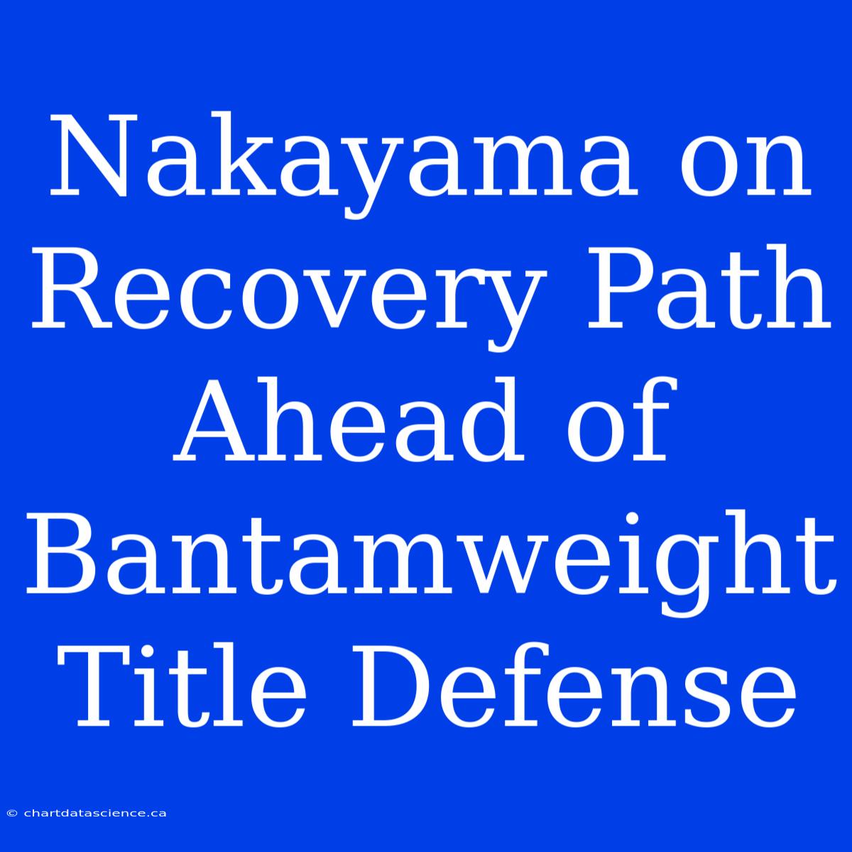 Nakayama On Recovery Path Ahead Of Bantamweight Title Defense