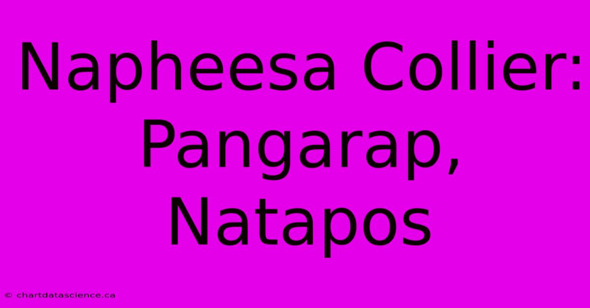 Napheesa Collier: Pangarap, Natapos