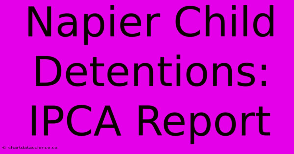 Napier Child Detentions: IPCA Report