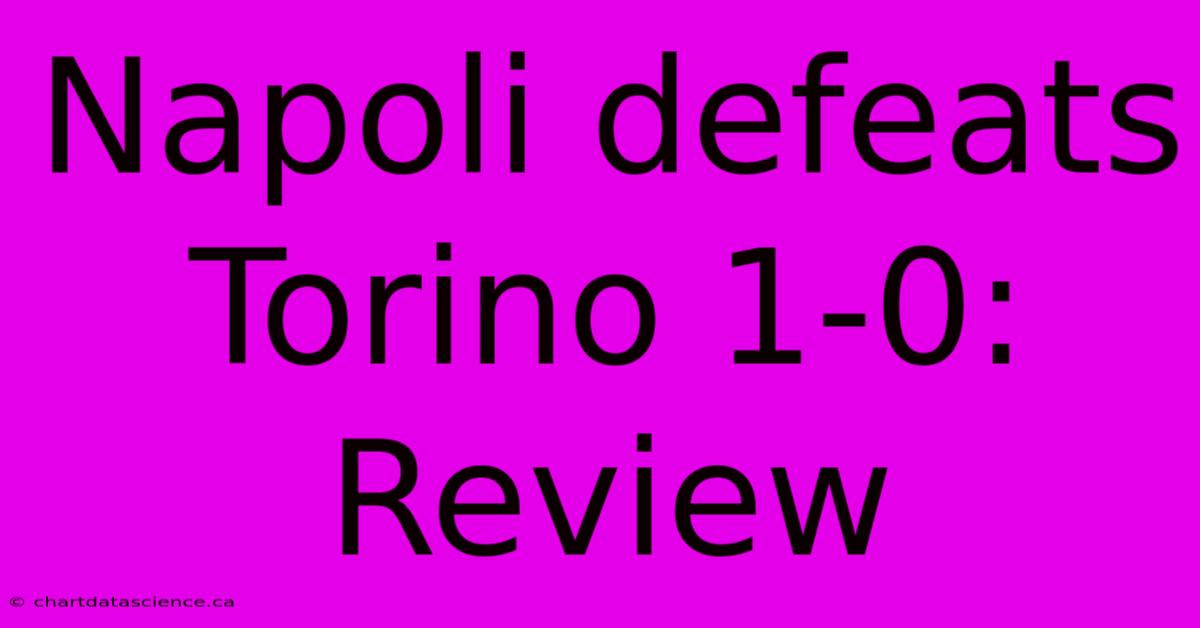 Napoli Defeats Torino 1-0: Review