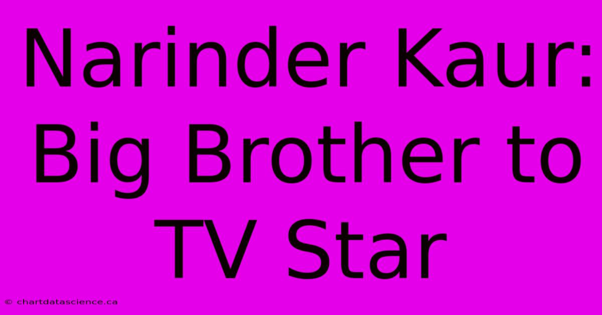 Narinder Kaur: Big Brother To TV Star