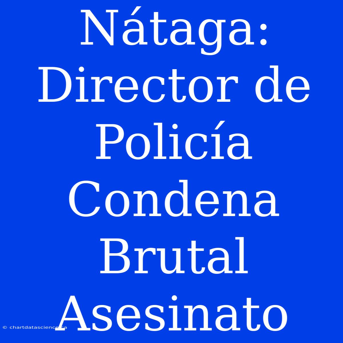 Nátaga: Director De Policía Condena Brutal Asesinato