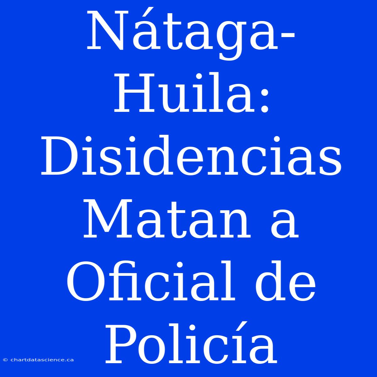 Nátaga-Huila: Disidencias Matan A Oficial De Policía