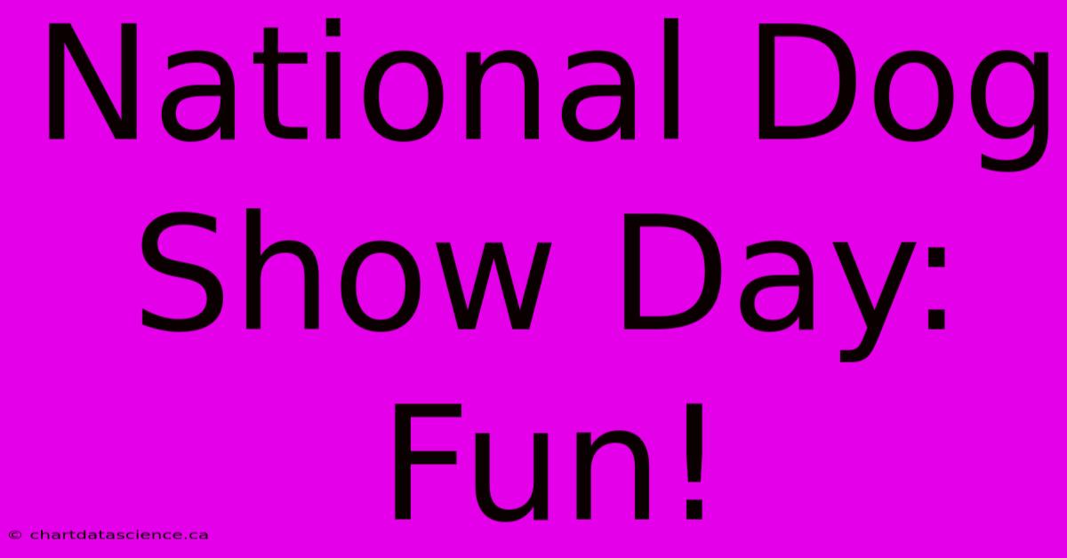 National Dog Show Day: Fun!