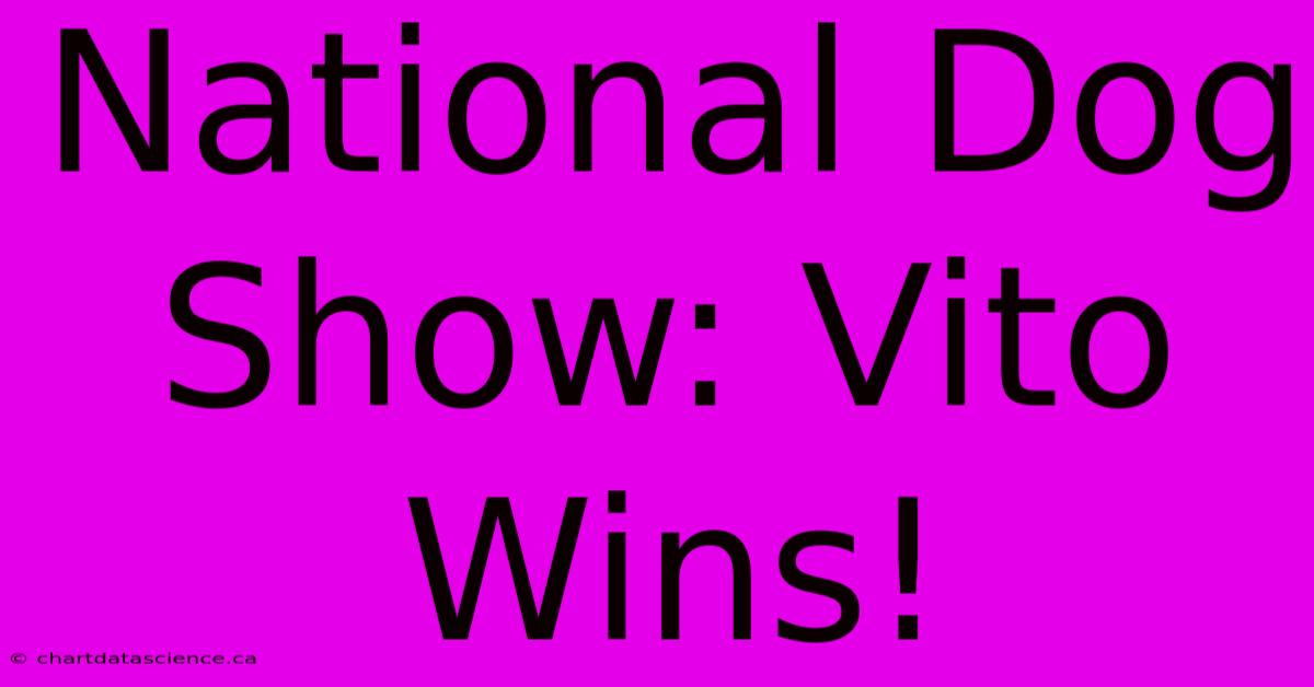 National Dog Show: Vito Wins!