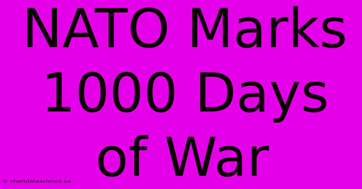 NATO Marks 1000 Days Of War