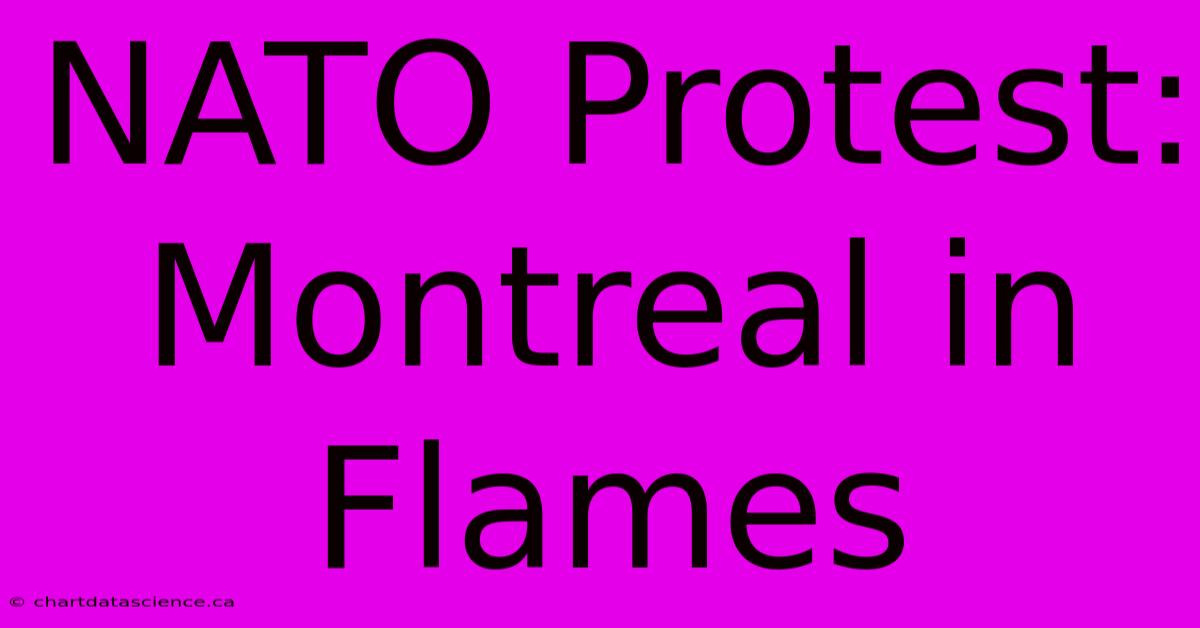 NATO Protest: Montreal In Flames