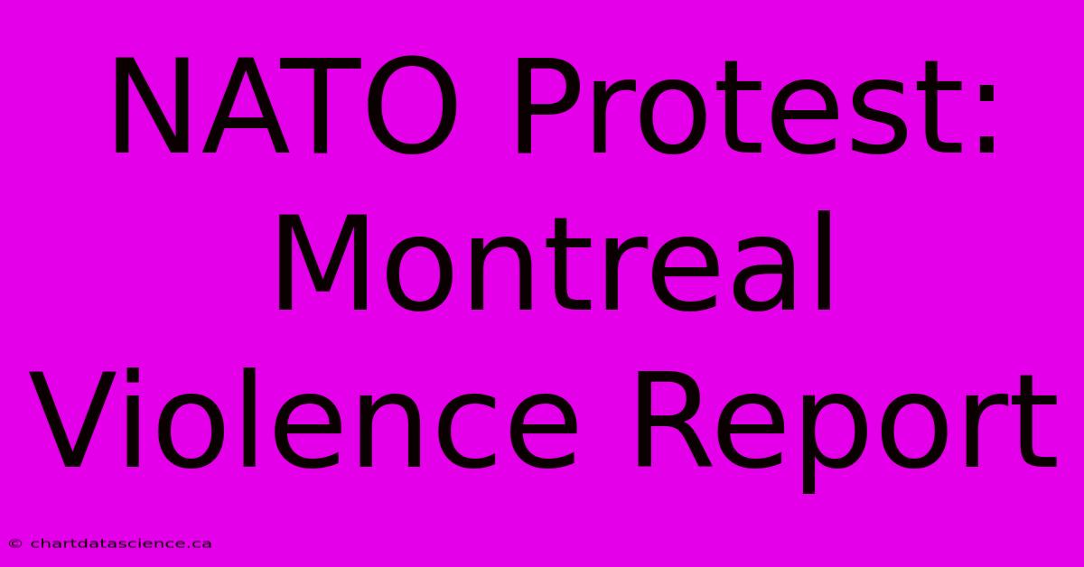 NATO Protest: Montreal Violence Report