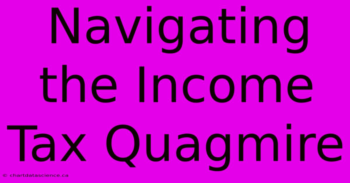 Navigating The Income Tax Quagmire