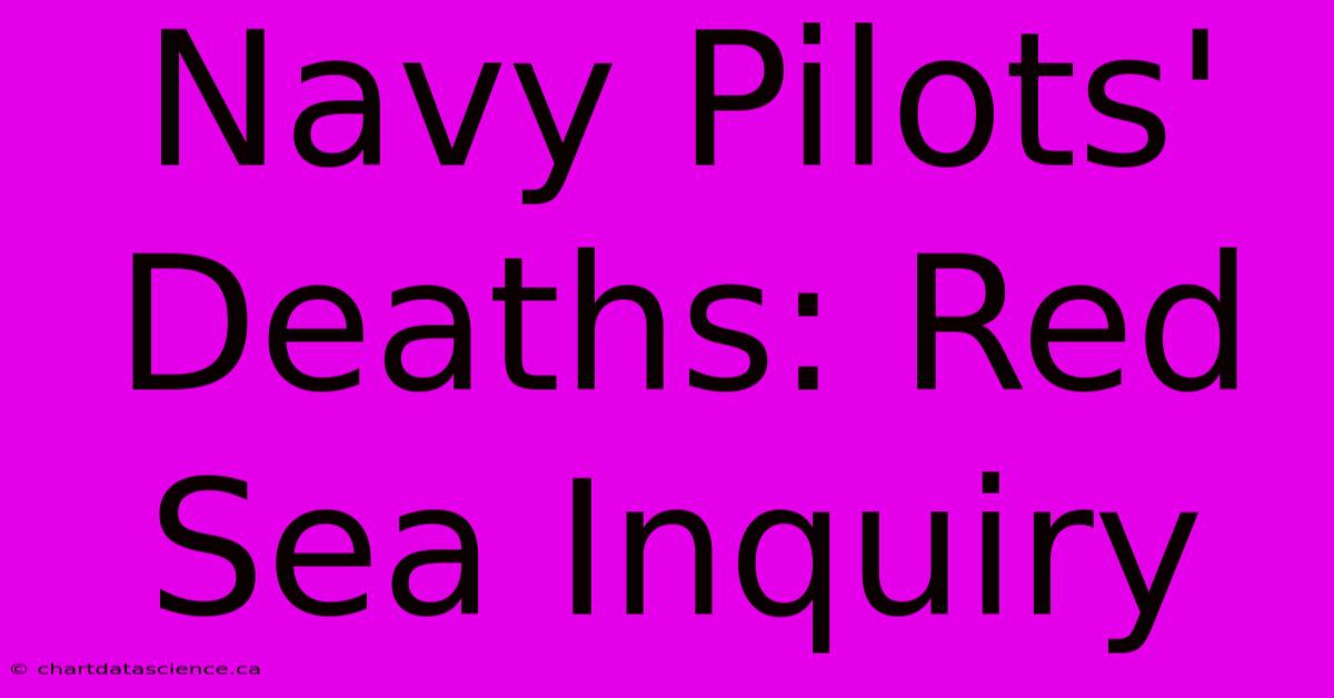 Navy Pilots' Deaths: Red Sea Inquiry