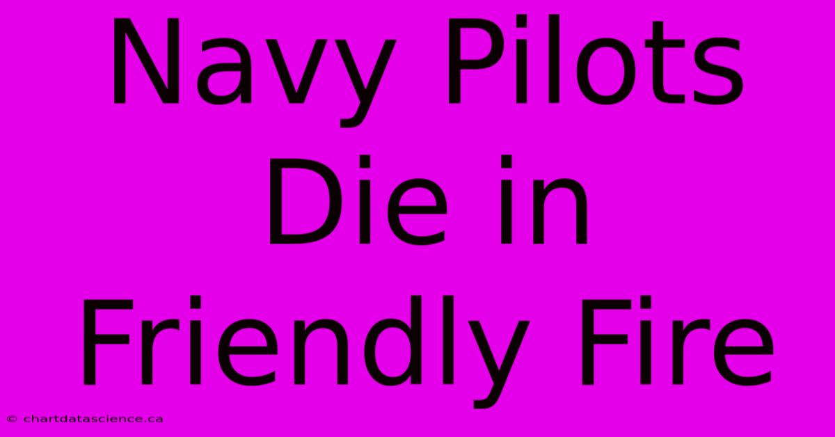 Navy Pilots Die In Friendly Fire