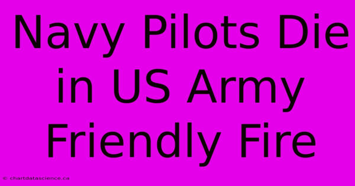 Navy Pilots Die In US Army Friendly Fire