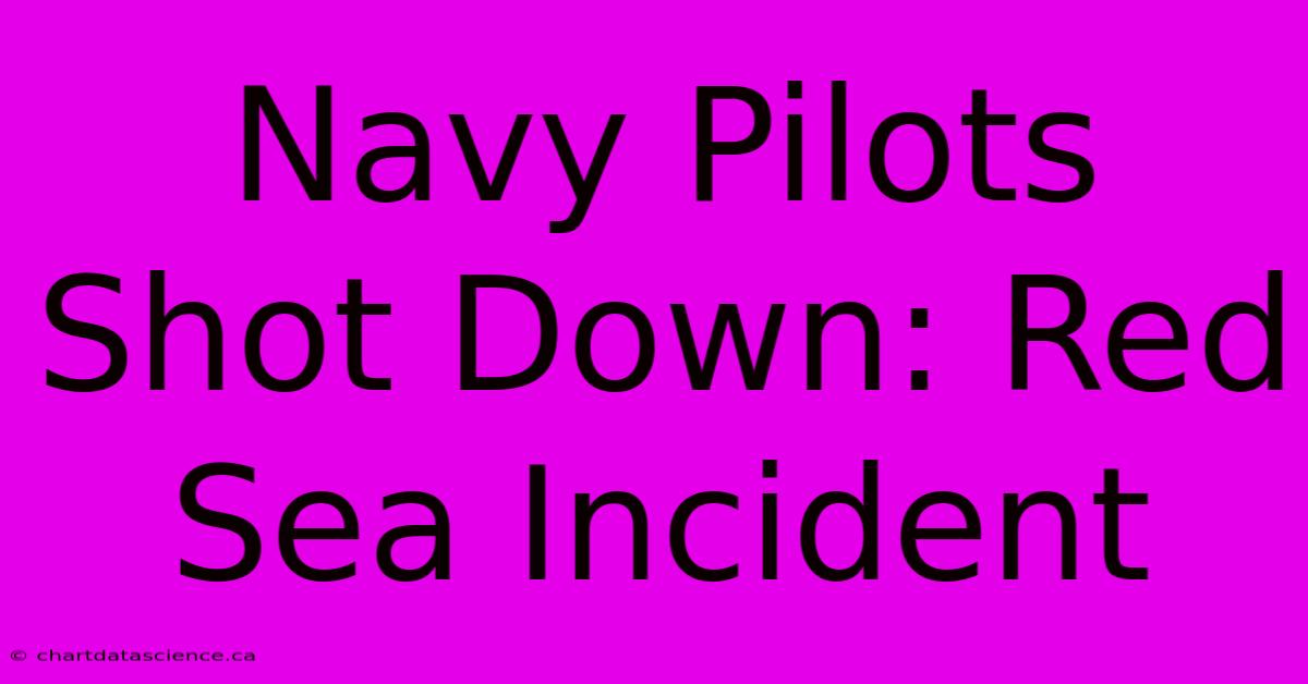 Navy Pilots Shot Down: Red Sea Incident