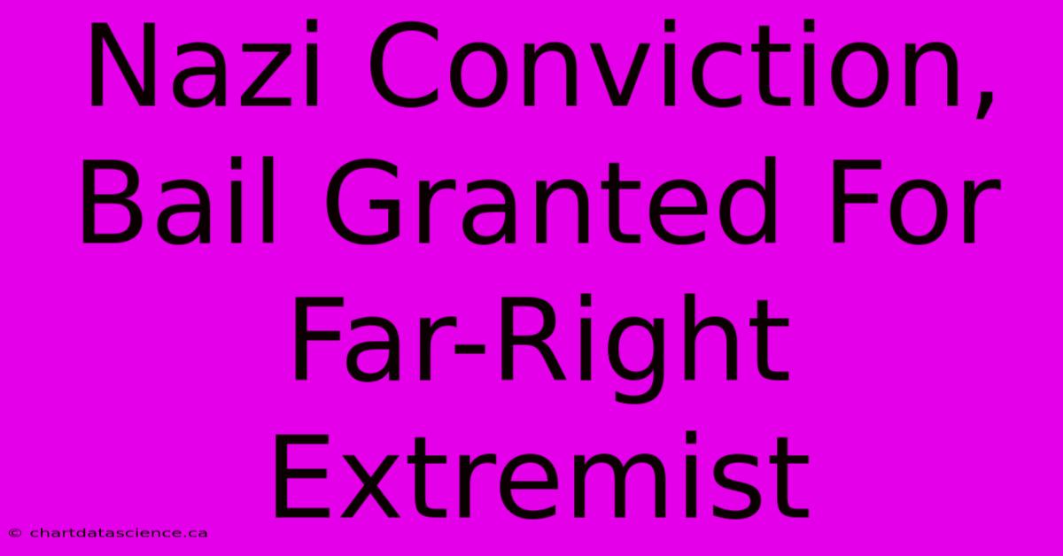 Nazi Conviction, Bail Granted For Far-Right Extremist 