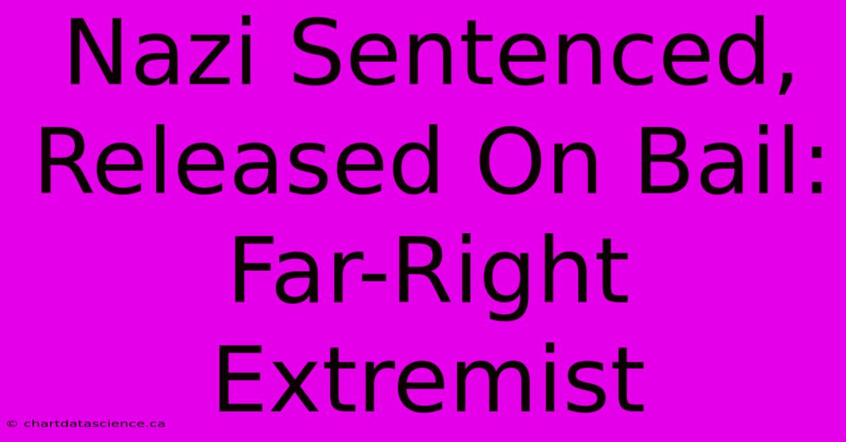 Nazi Sentenced, Released On Bail: Far-Right Extremist