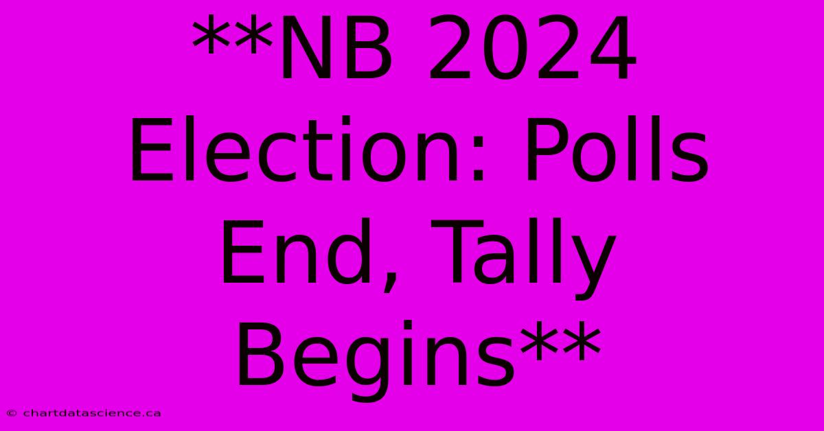 **NB 2024 Election: Polls End, Tally Begins**