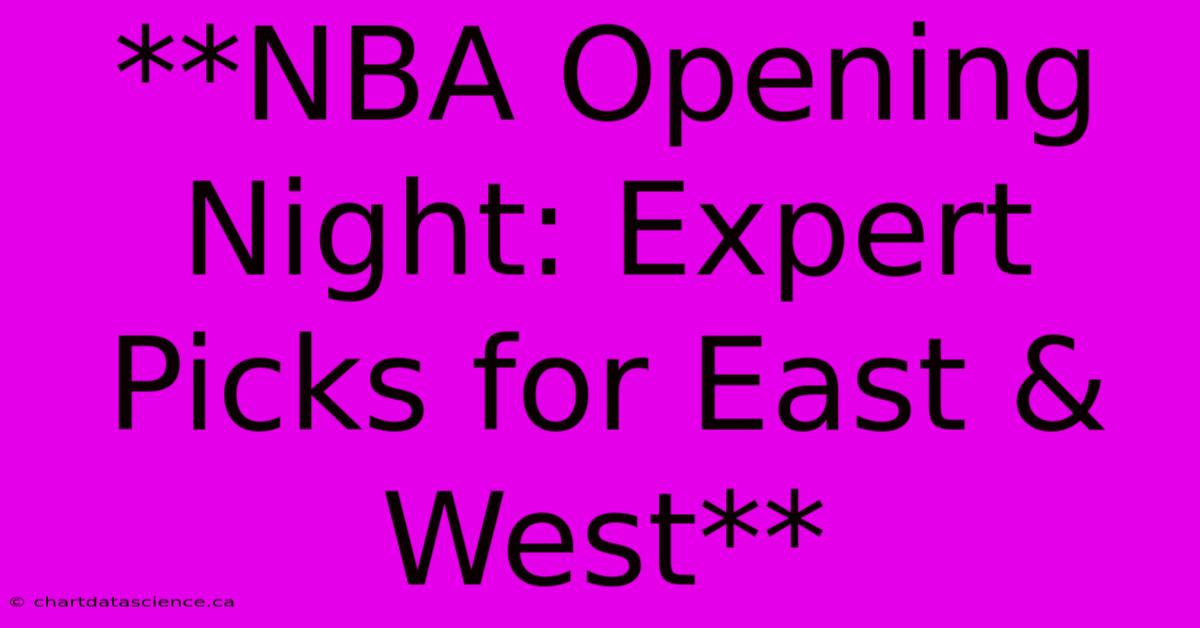 **NBA Opening Night: Expert Picks For East & West** 