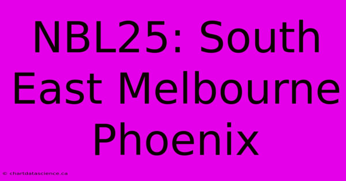 NBL25: South East Melbourne Phoenix