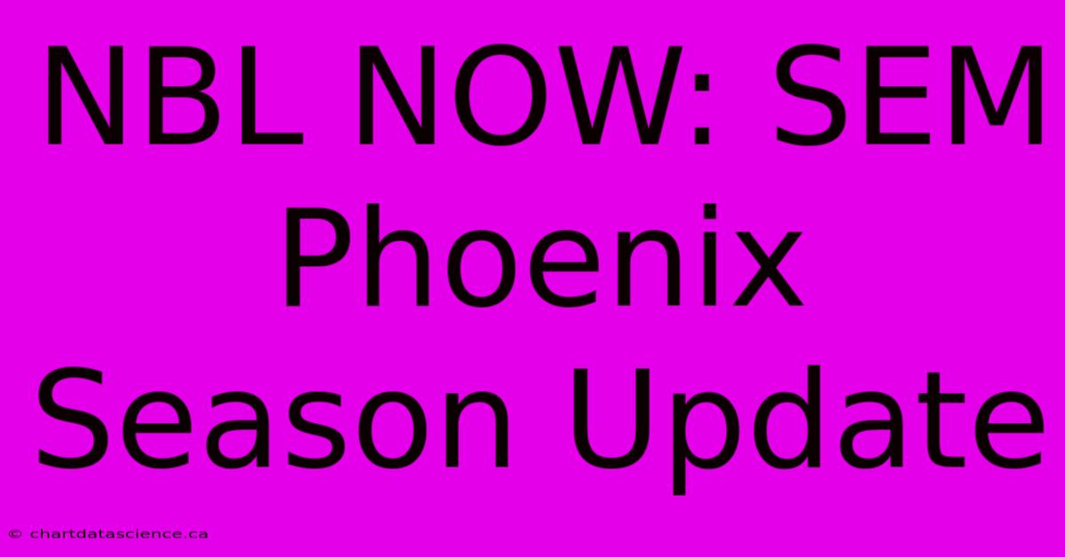 NBL NOW: SEM Phoenix Season Update