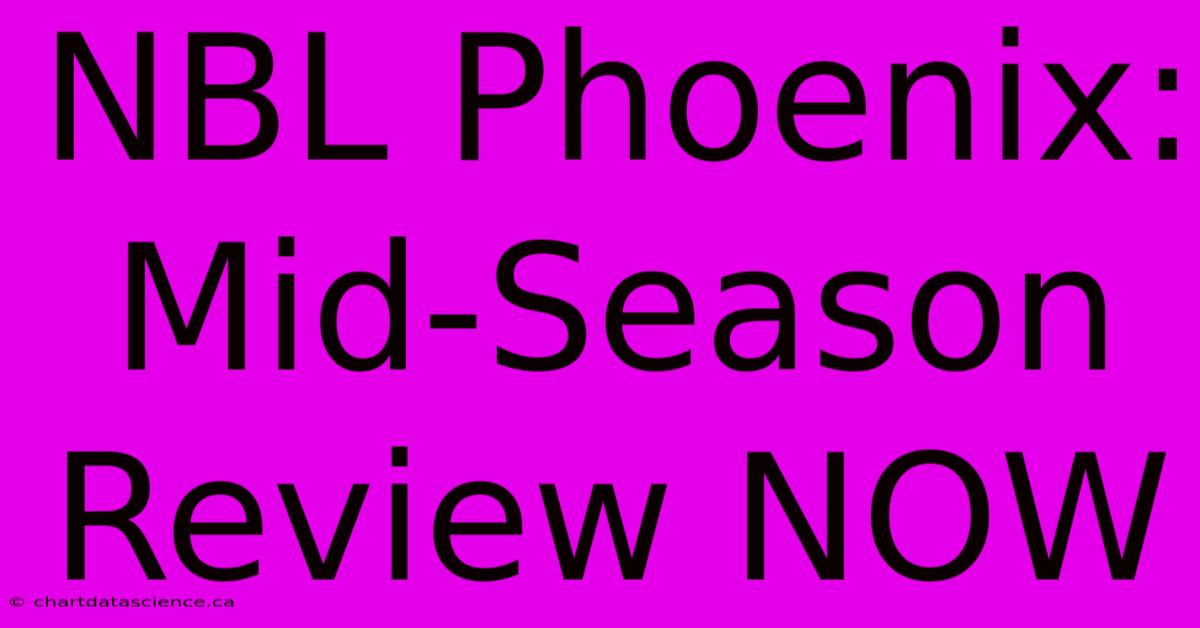 NBL Phoenix: Mid-Season Review NOW