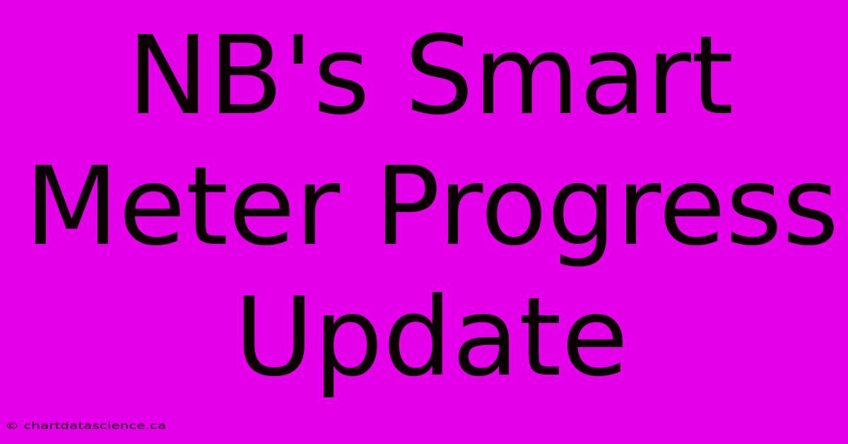 NB's Smart Meter Progress Update