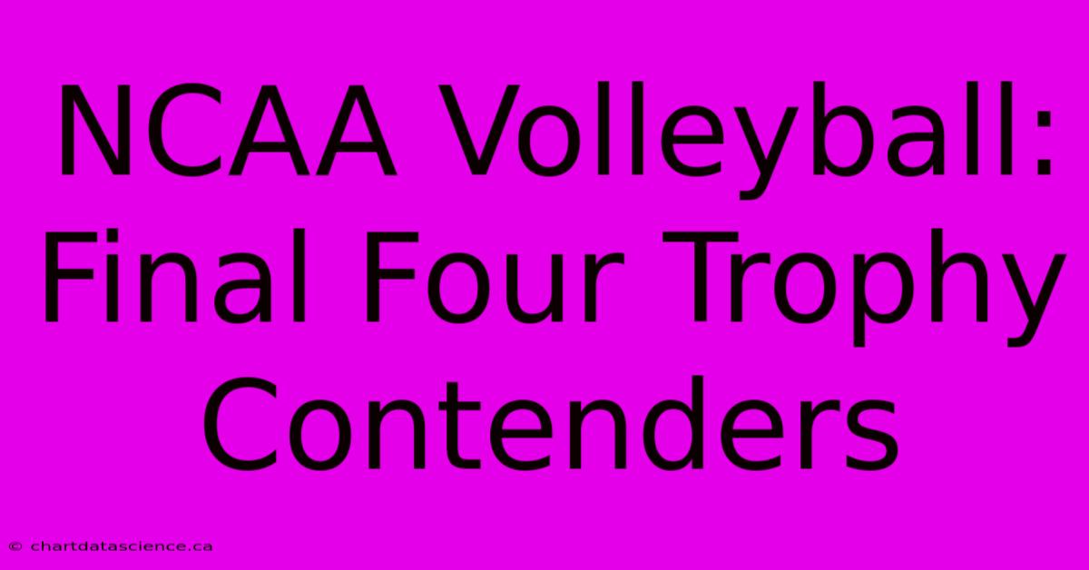 NCAA Volleyball: Final Four Trophy Contenders