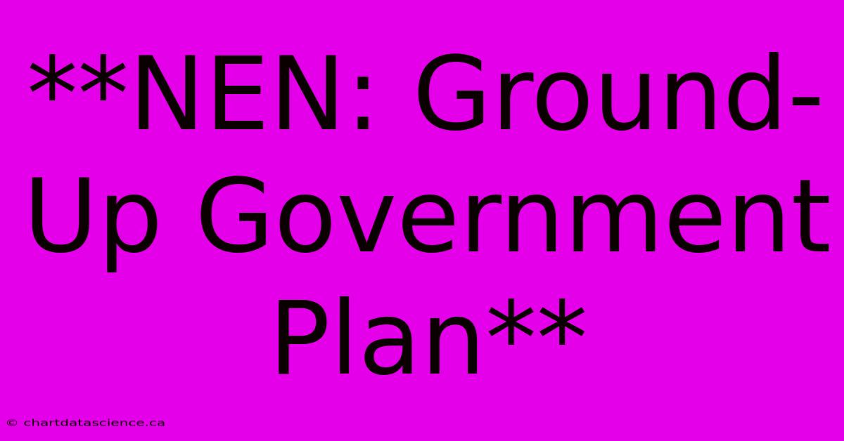 **NEN: Ground-Up Government Plan**