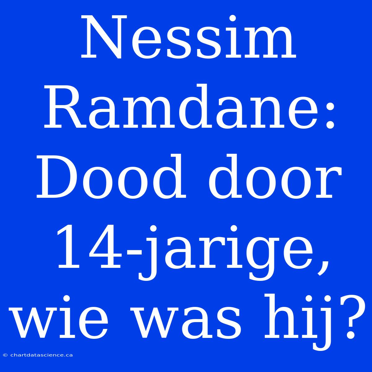 Nessim Ramdane: Dood Door 14-jarige, Wie Was Hij?