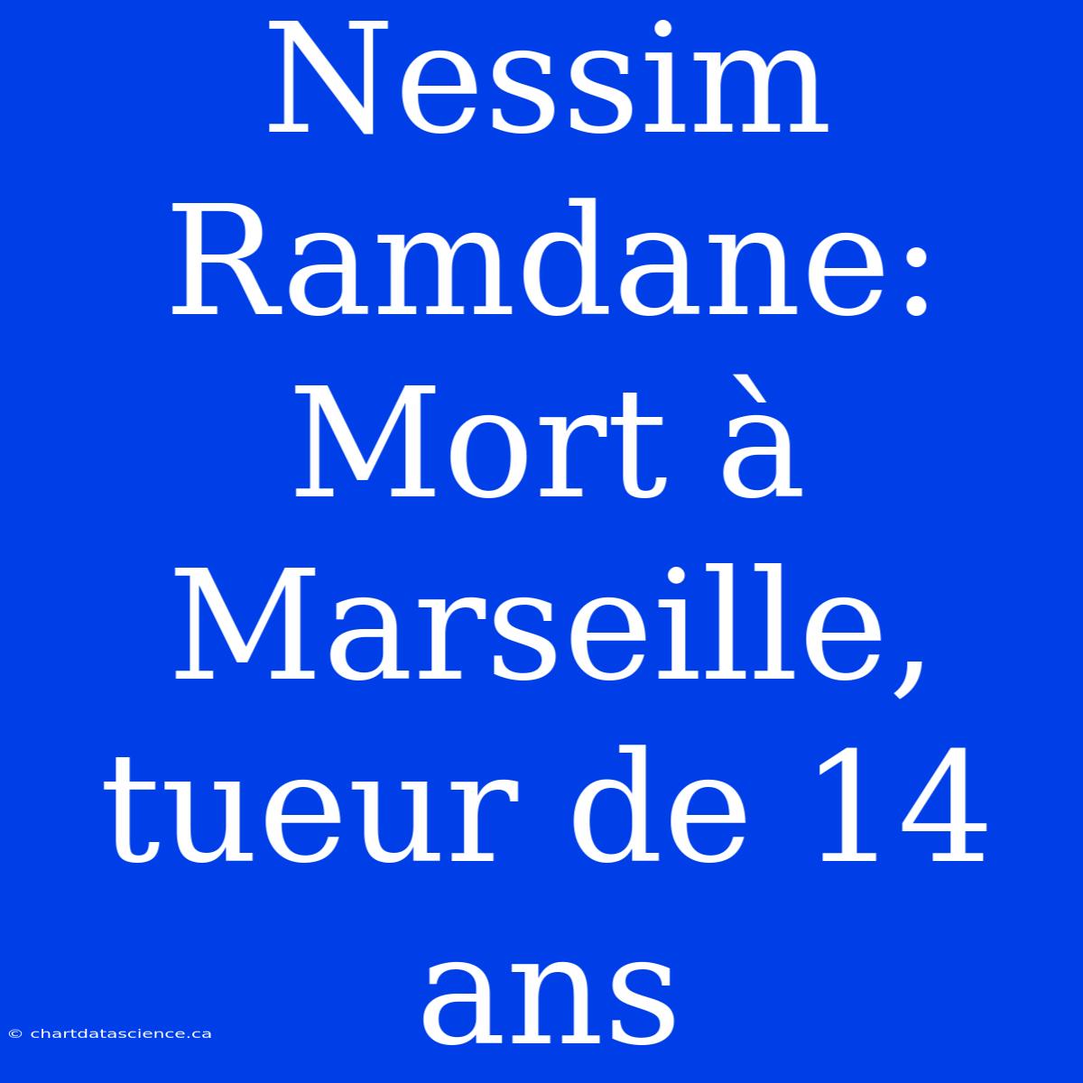 Nessim Ramdane:  Mort À Marseille, Tueur De 14 Ans