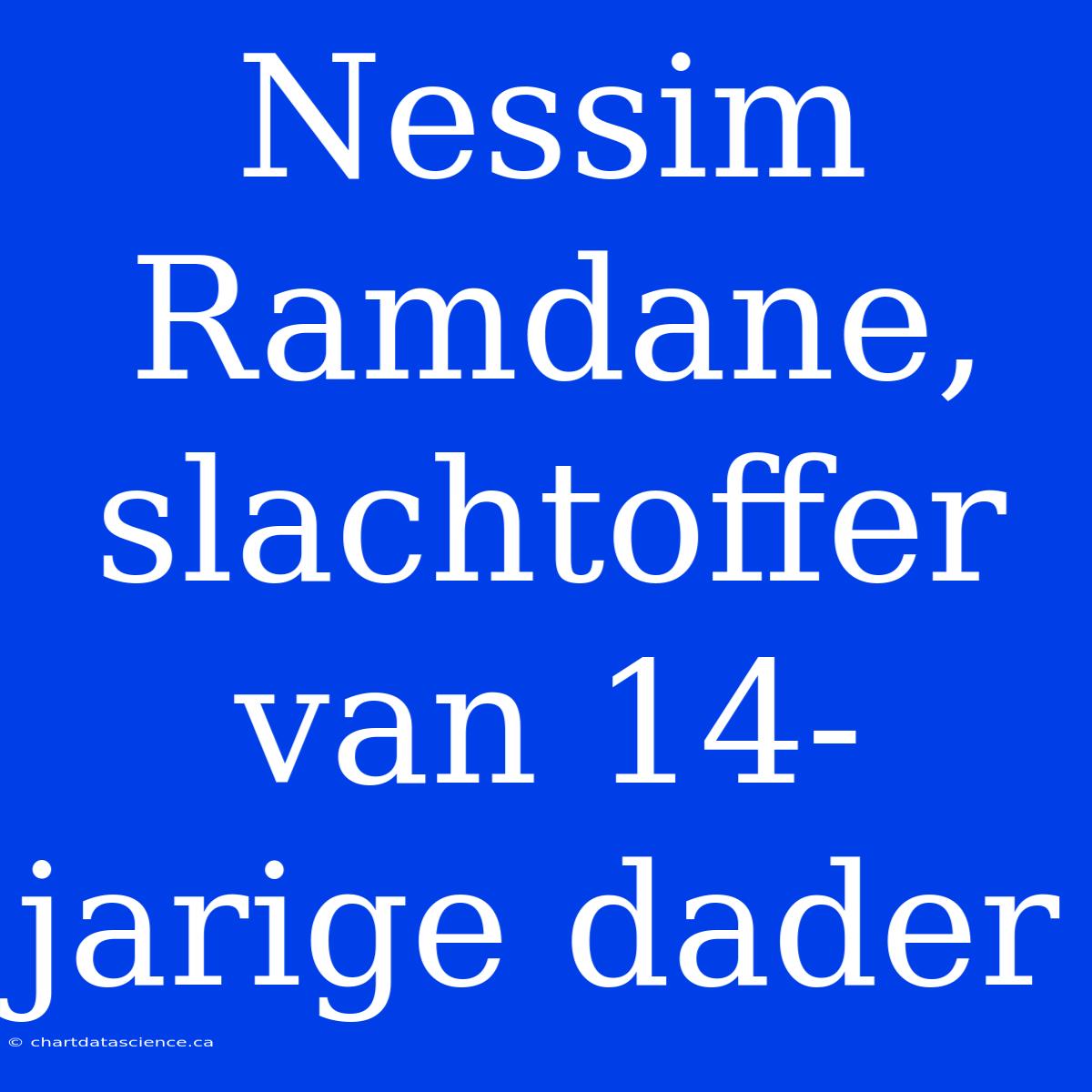 Nessim Ramdane, Slachtoffer Van 14-jarige Dader