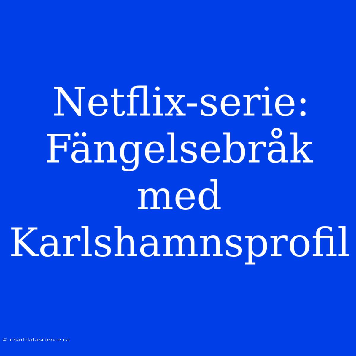 Netflix-serie: Fängelsebråk Med Karlshamnsprofil