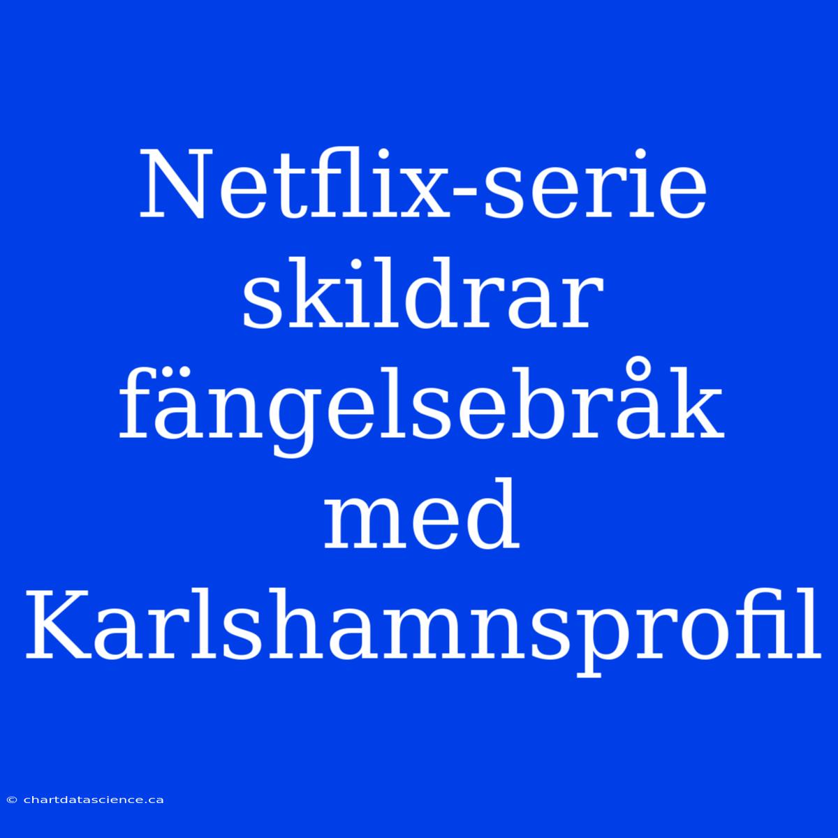 Netflix-serie Skildrar Fängelsebråk Med Karlshamnsprofil