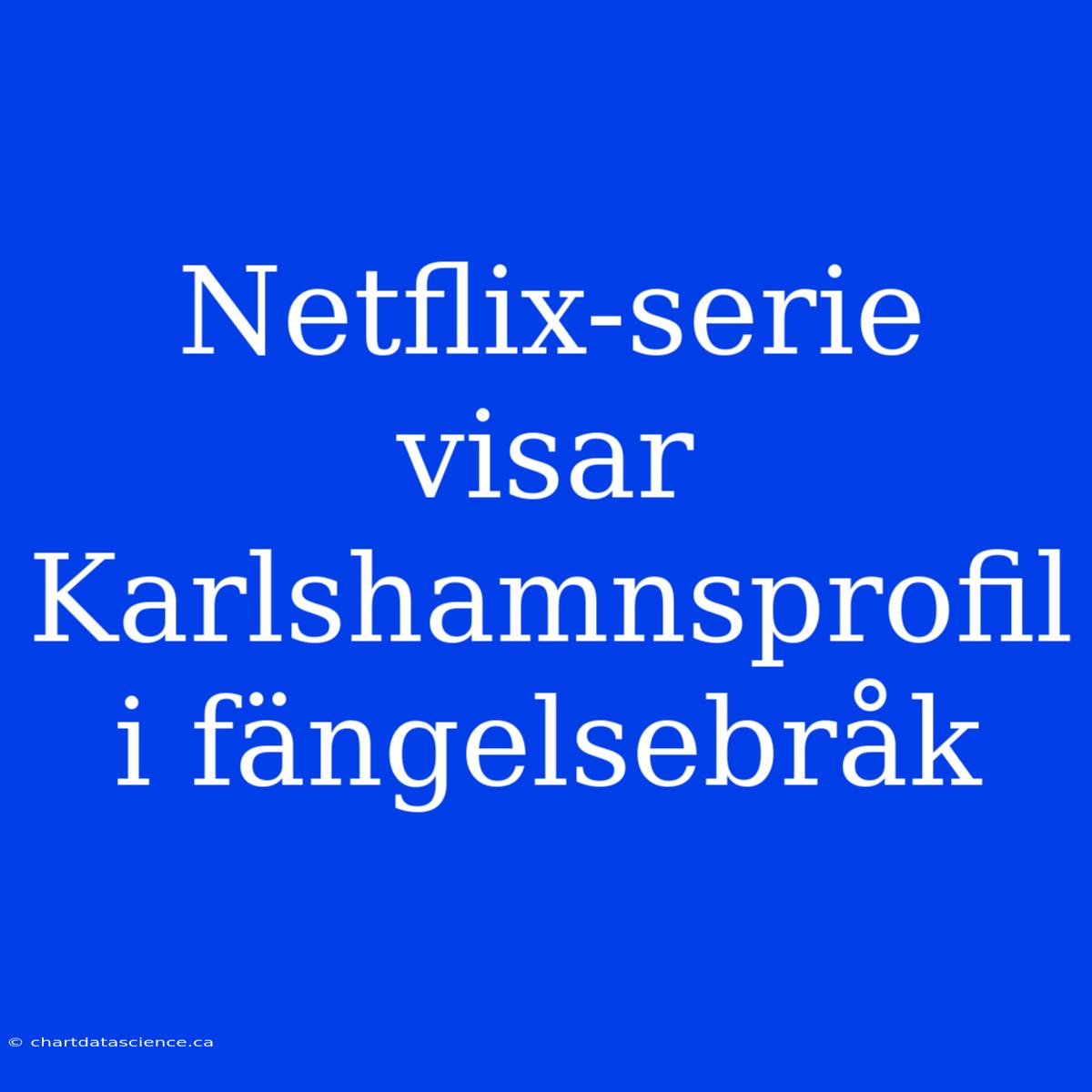 Netflix-serie Visar Karlshamnsprofil I Fängelsebråk