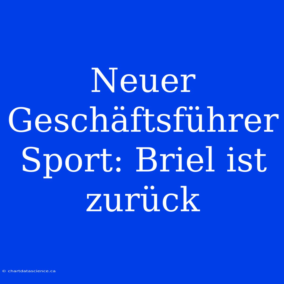 Neuer Geschäftsführer Sport: Briel Ist Zurück