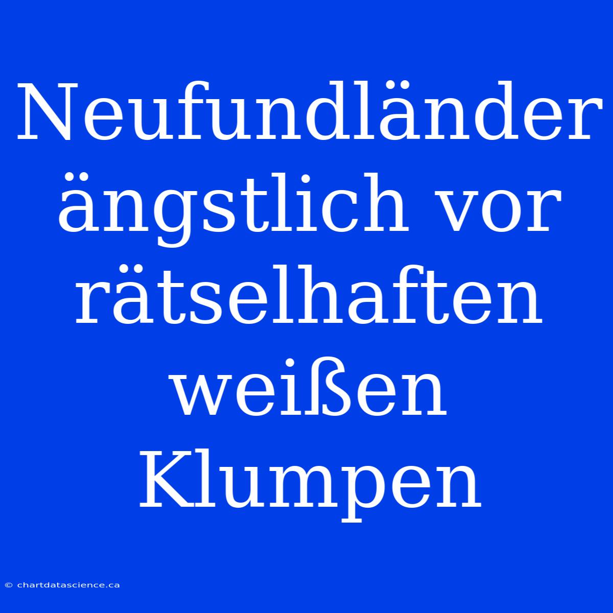 Neufundländer Ängstlich Vor Rätselhaften Weißen Klumpen