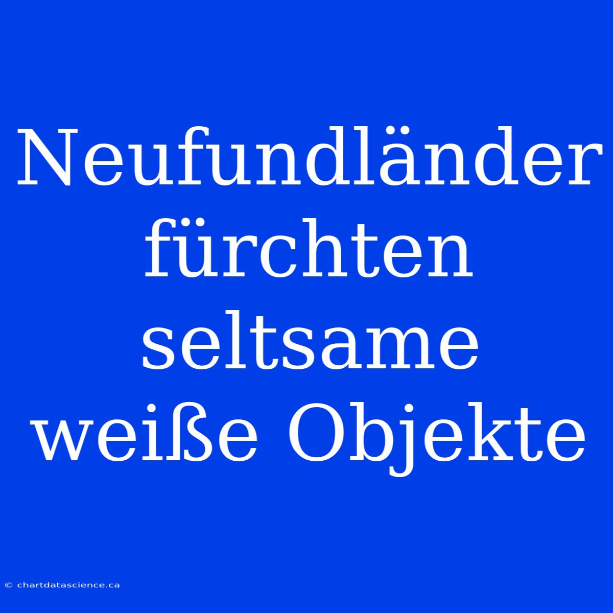 Neufundländer Fürchten Seltsame Weiße Objekte