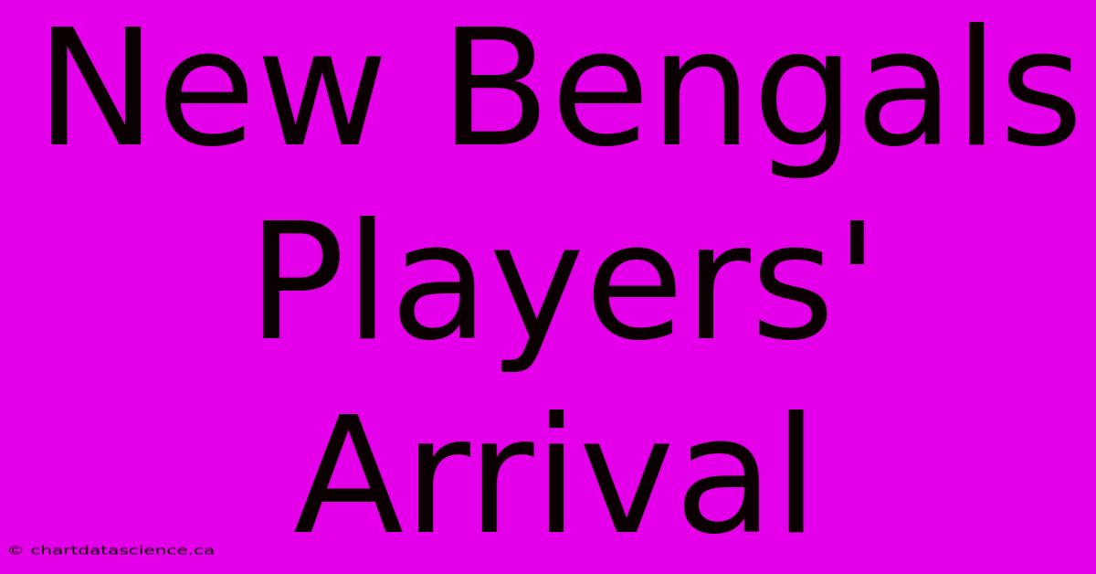 New Bengals Players' Arrival