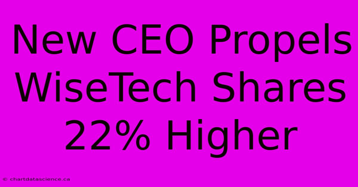 New CEO Propels WiseTech Shares 22% Higher 