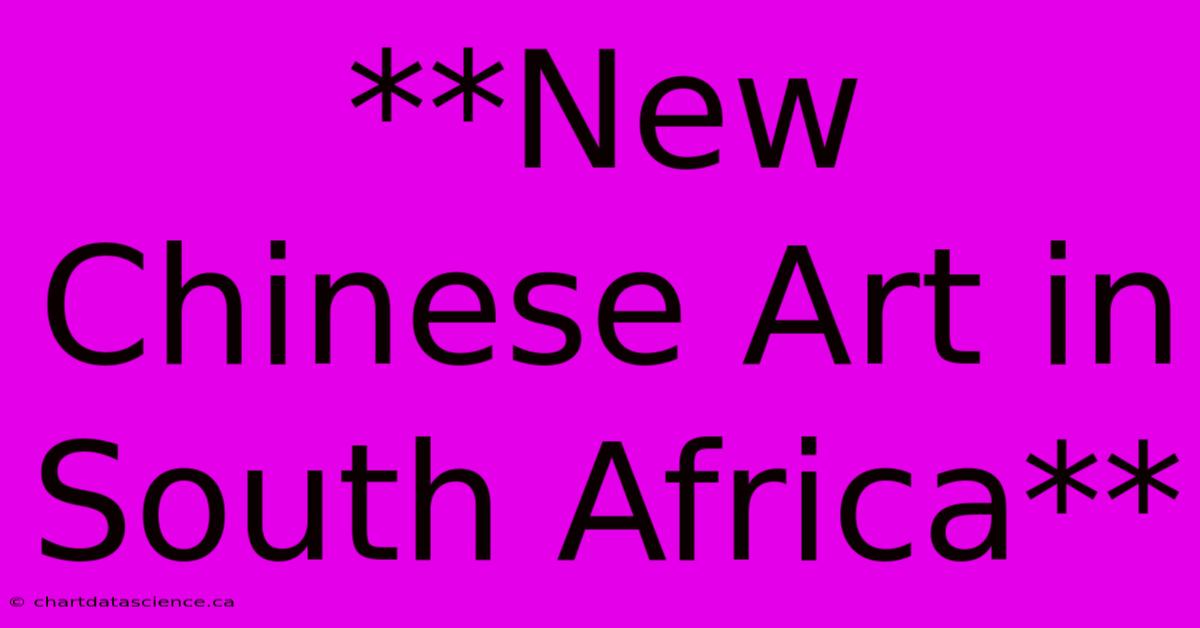 **New Chinese Art In South Africa**