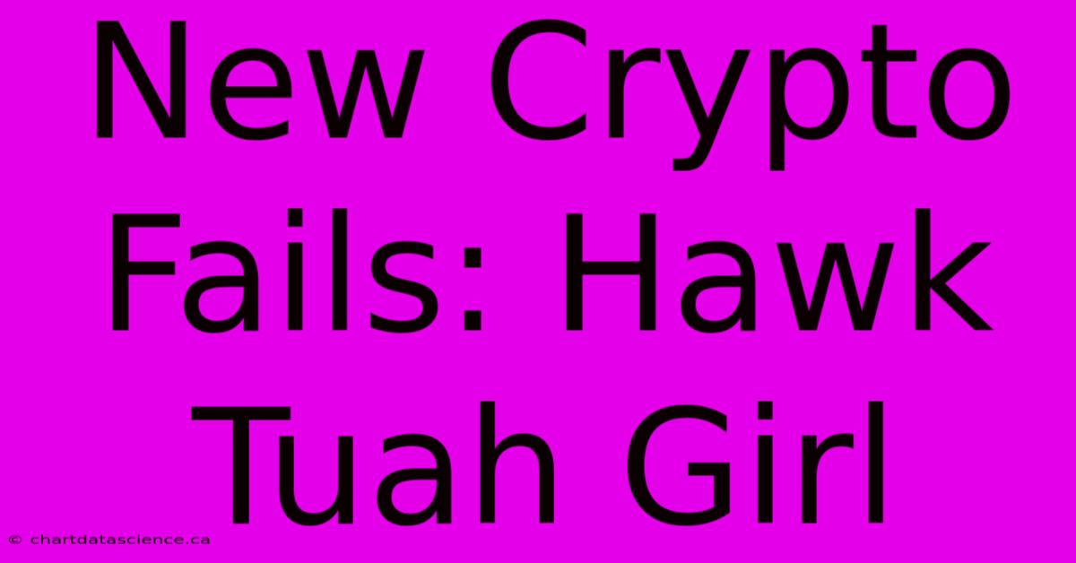 New Crypto Fails: Hawk Tuah Girl