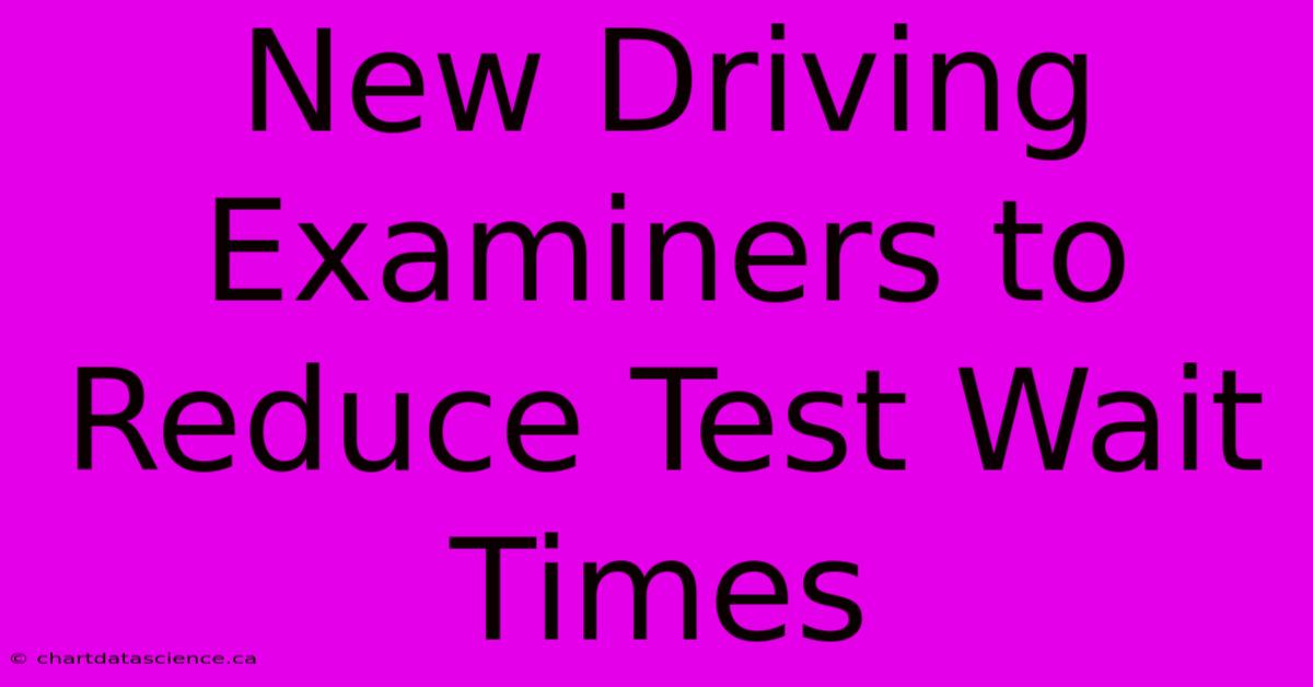 New Driving Examiners To Reduce Test Wait Times