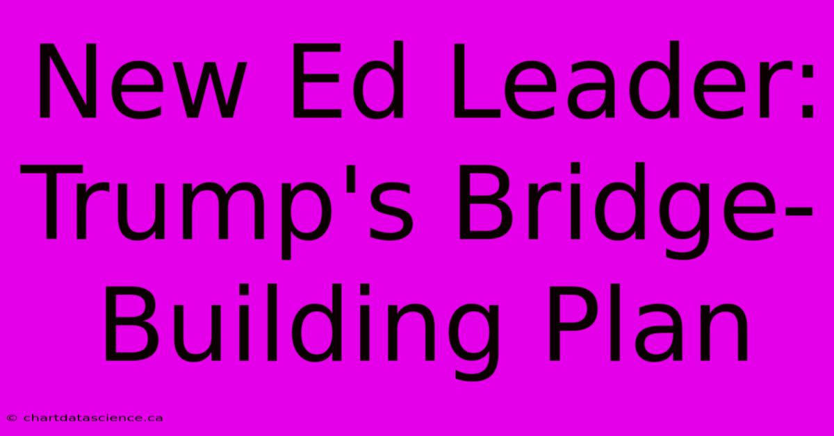 New Ed Leader: Trump's Bridge-Building Plan