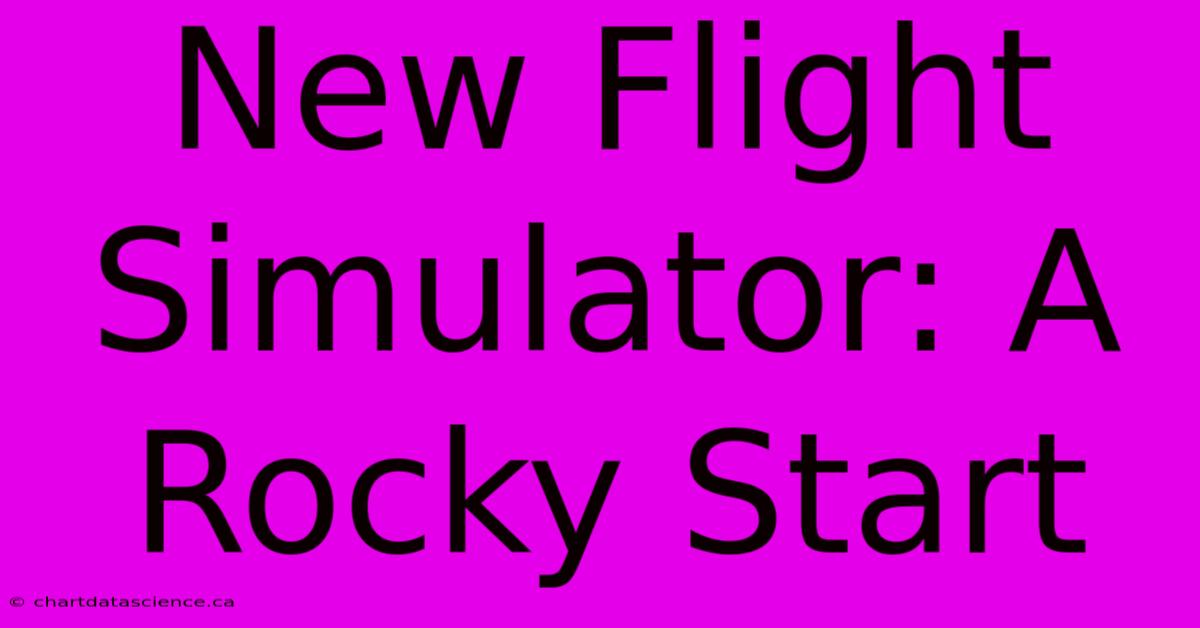 New Flight Simulator: A Rocky Start