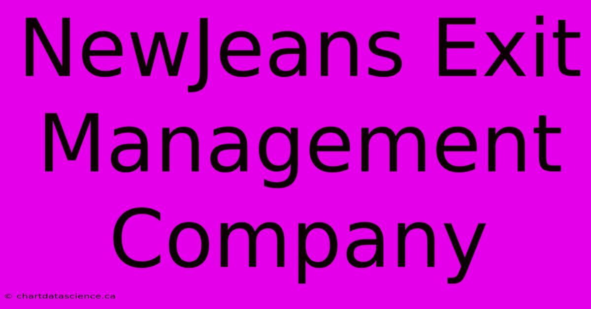 NewJeans Exit Management Company